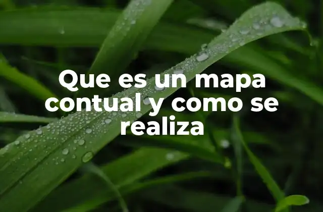 Que es un Mapa Contual y como Se Realiza