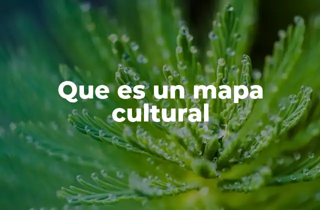 Que es un Mapa Cultural 2 La importancia de representar la diversidad cultural en mapas