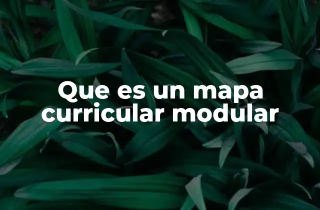 Que es un Mapa Curricular Modular