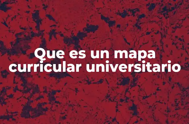 Que es un Mapa Curricular Universitario