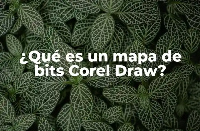 ¿qué es un Mapa de Bits Corel Draw? 2 La diferencia entre mapas de bits y gráficos vectoriales en CorelDRAW