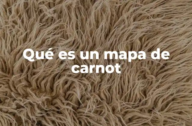 Qué es un Mapa de Carnot