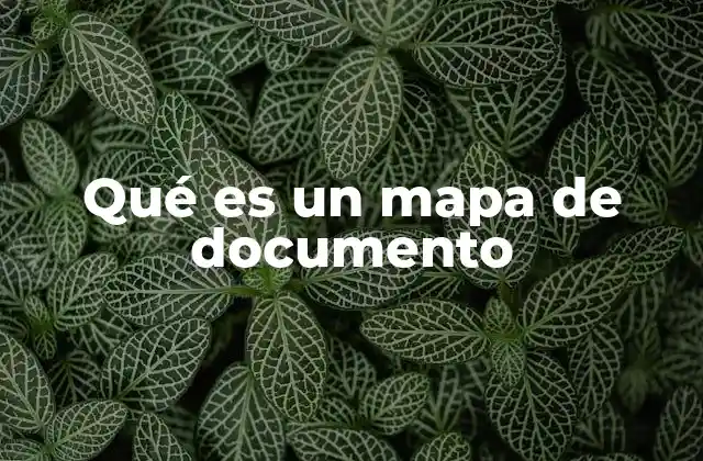 Qué es un Mapa de Documento