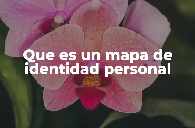 Que es un Mapa de Identidad Personal