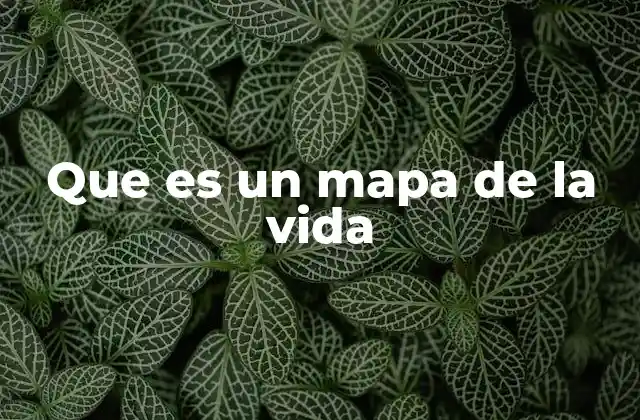 Que es un Mapa de la Vida