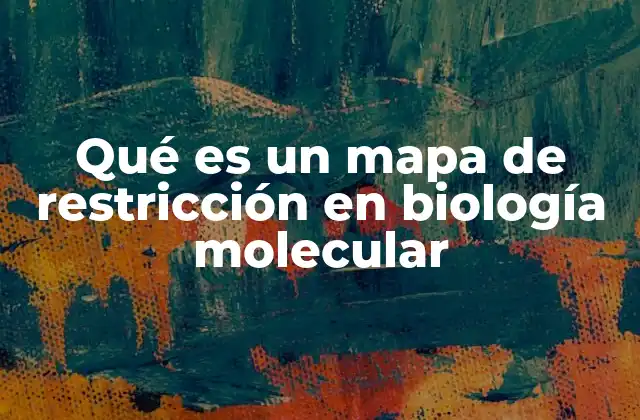 Qué es un Mapa de Restricción en Biología Molecular