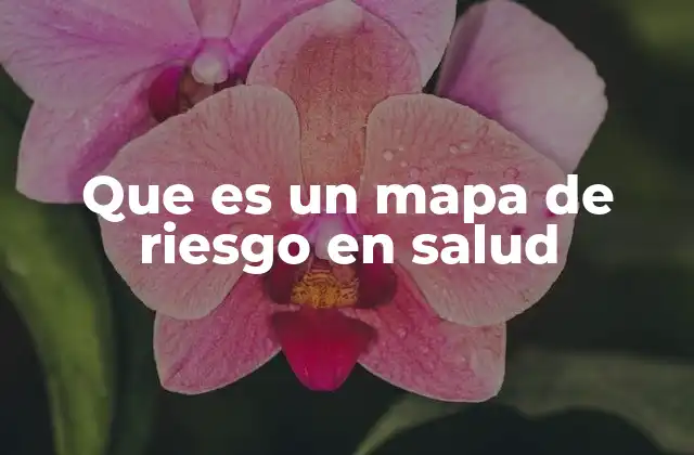 Que es un Mapa de Riesgo en Salud