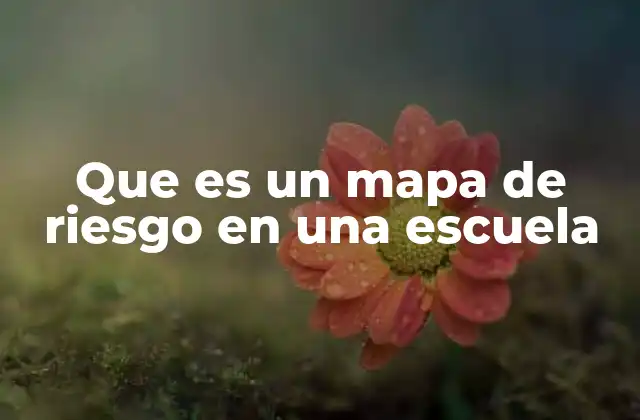 Que es un Mapa de Riesgo en una Escuela