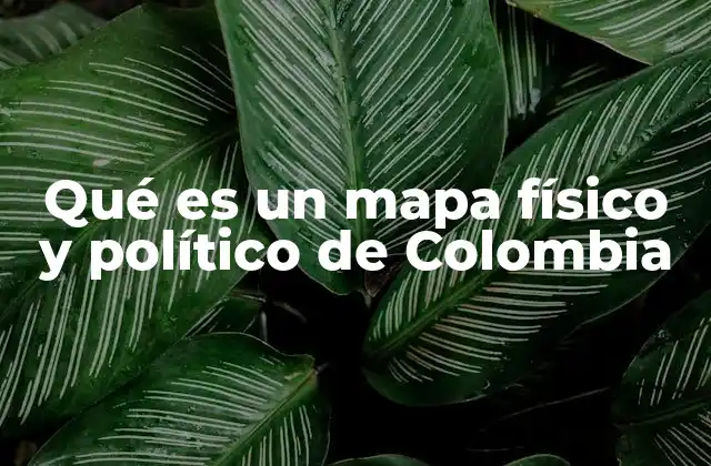 Qué es un Mapa Físico y Político de Colombia