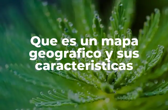 Que es un Mapa Geografico y Sus Caracteristicas