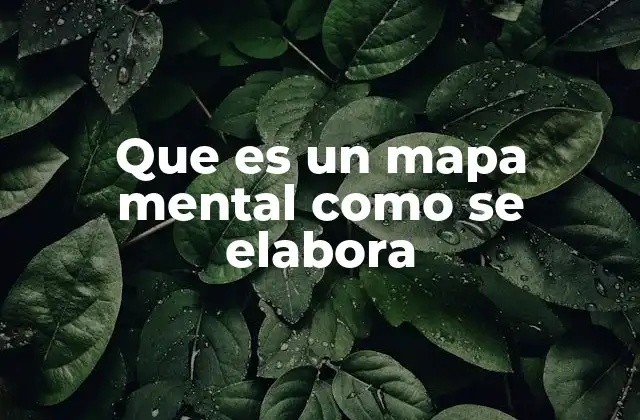 Que es un Mapa Mental como Se Elabora