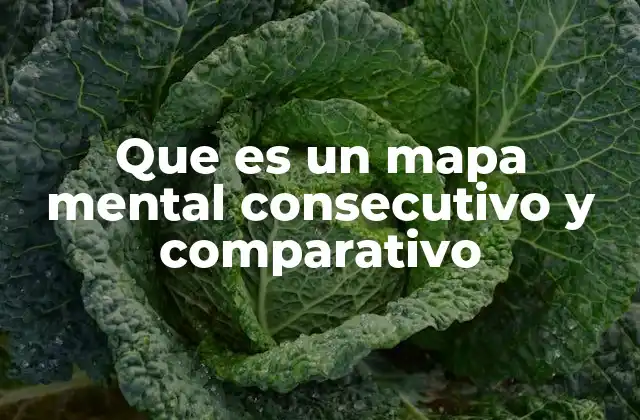 Que es un Mapa Mental Consecutivo y Comparativo