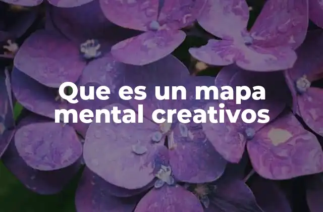 Que es un Mapa Mental Creativos