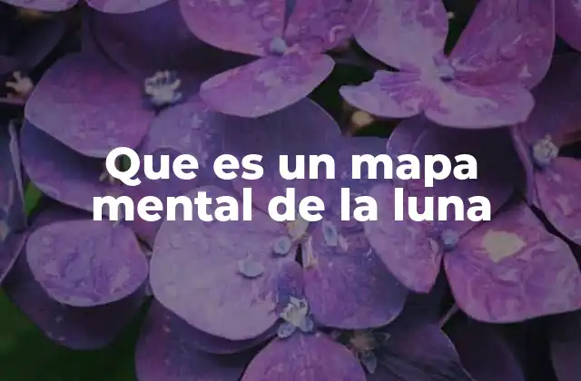 Organización visual para entender la luna