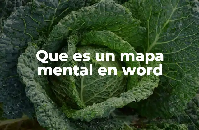 Que es un Mapa Mental en Word