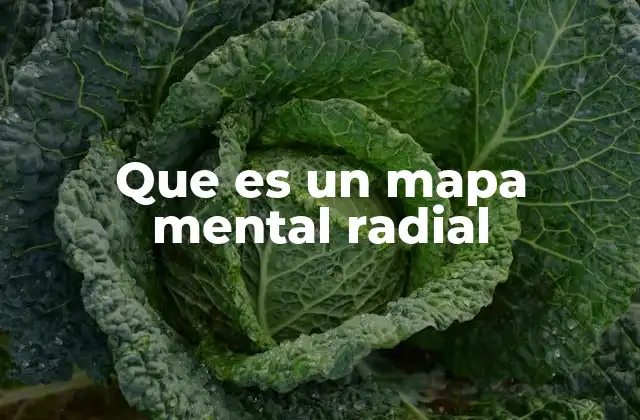 Características y estructura de los mapas mentales radiales