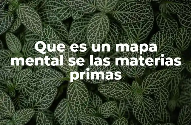 La importancia de visualizar las materias primas