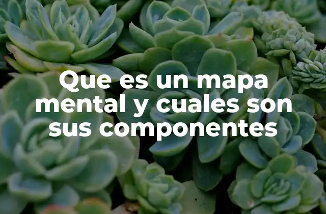 La estructura visual como herramienta de aprendizaje