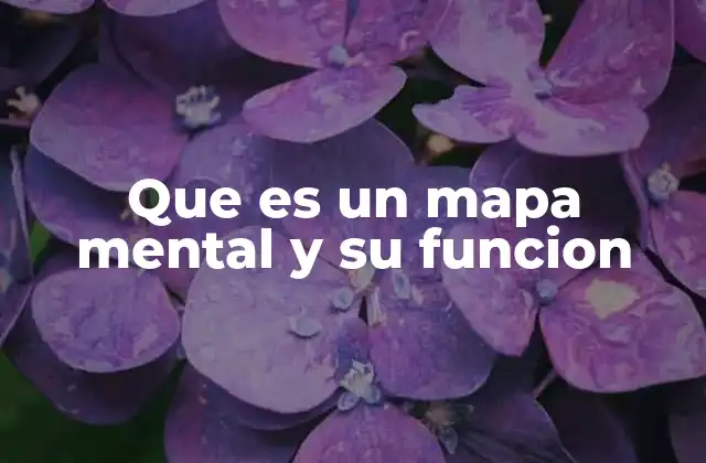 Que es un Mapa Mental y Su Funcion