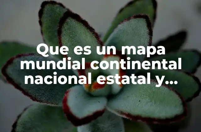 Que es un Mapa Mundial Continental Nacional Estatal y Municipal