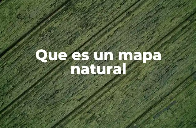 Que es un Mapa Natural