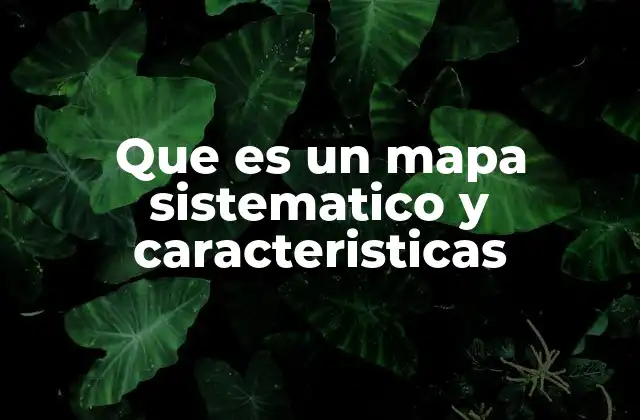 Que es un Mapa Sistematico y Caracteristicas