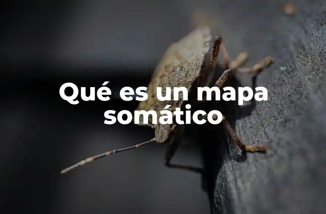 Qué es un Mapa Somático