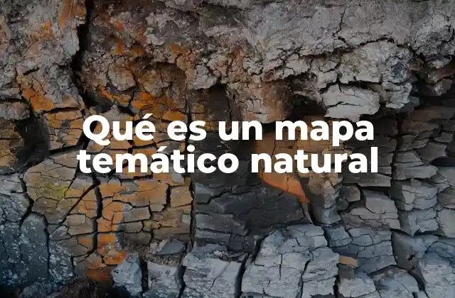 La importancia de los mapas temáticos en el estudio del entorno natural