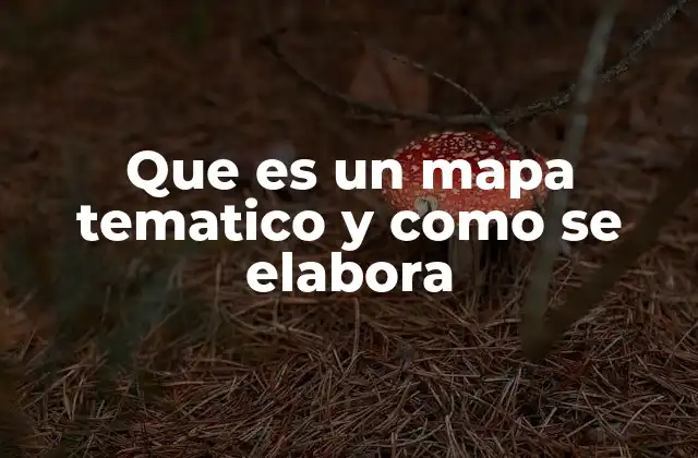 Que es un Mapa Tematico y como Se Elabora