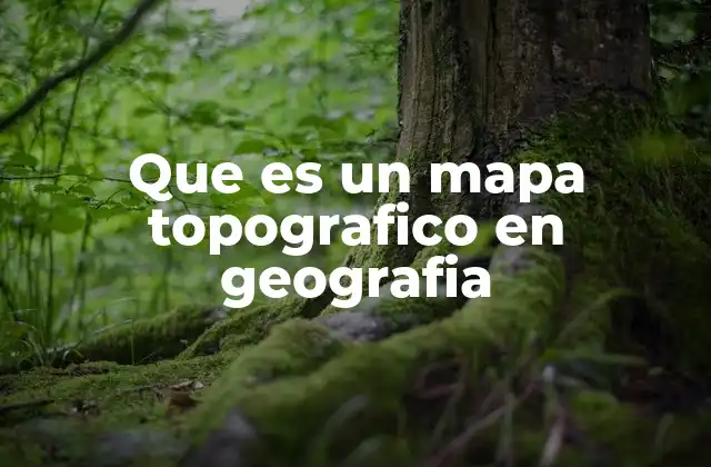Que es un Mapa Topografico en Geografia