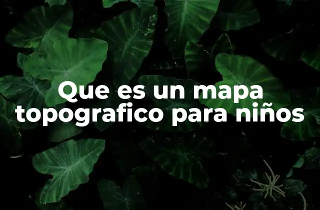 Que es un Mapa Topografico para Niños