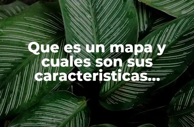 Elementos que diferencian a un mapa de otros tipos de representaciones geográficas