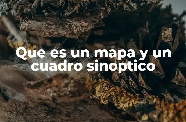 Que es un Mapa y un Cuadro Sinoptico