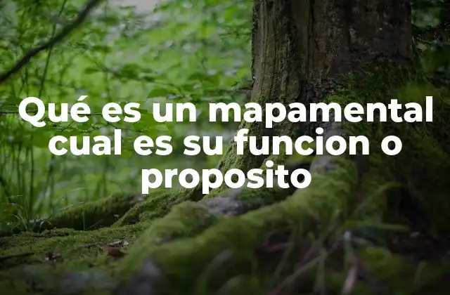 Qué es un Mapamental Cual es Su Funcion o Proposito