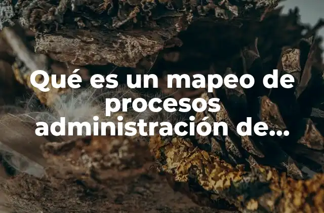 Cómo el mapeo de procesos mejora la calidad en las organizaciones