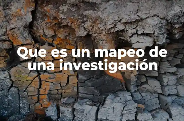 Que es un Mapeo de una Investigación