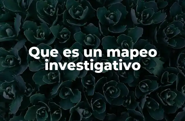 Que es un Mapeo Investigativo