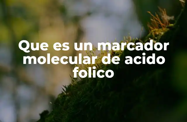 Que es un Marcador Molecular de Acido Folico