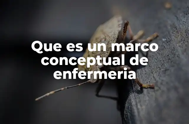 Que es un Marco Conceptual de Enfermeria