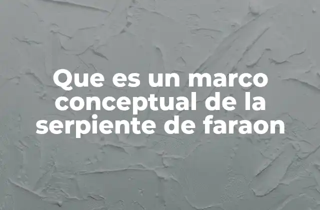 Que es un Marco Conceptual de la Serpiente de Faraon