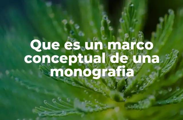 Que es un Marco Conceptual de una Monografia