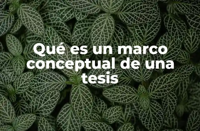 Qué es un Marco Conceptual de una Tesis