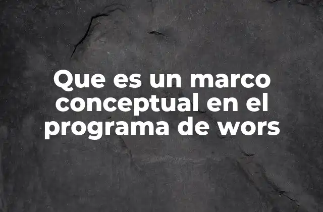 Que es un Marco Conceptual en el Programa de Wors