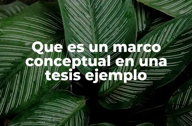 Que es un Marco Conceptual en una Tesis Ejemplo 2 La base teórica detrás de cualquier tesis