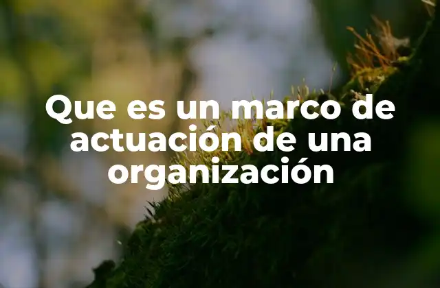 Que es un Marco de Actuación de una Organización