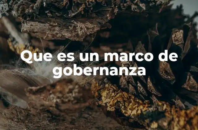 Que es un Marco de Gobernanza