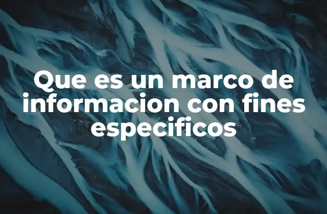 Que es un Marco de Informacion con Fines Especificos