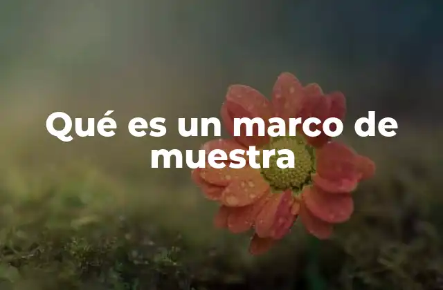 Qué es un Marco de Muestra