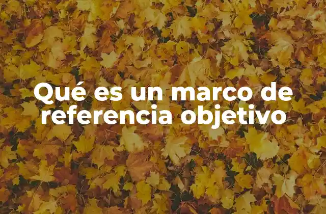 Qué es un Marco de Referencia Objetivo