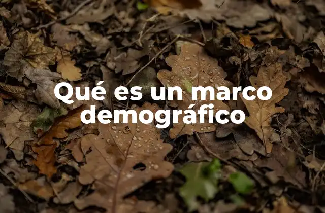 Qué es un Marco Demográfico